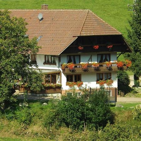 Schusselehof Apartment Oberprechtal Exterior photo